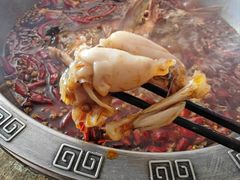 -销魂美蛙鱼头火锅(上海首店)