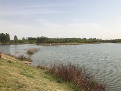-淇河国家湿地公园