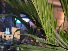 -皇朝万鑫自助餐厅