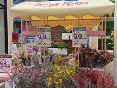 -越秀西湖花市(广州城市广场花卉店)