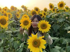 -映月湖中央公园