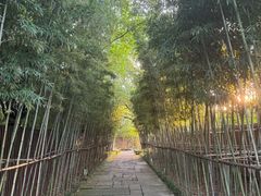 -新荣记(西溪湿地店)