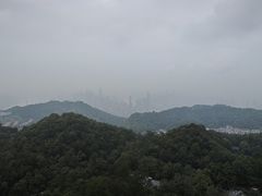 -大金鹰园