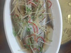 清蒸大白鱼-老味道1992(武当山店)