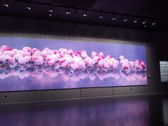 -罗红摄影艺术馆