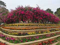 -东莞植物园