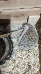 -酷嗒动物文化乐园(cutezoo西溪乐天城店)