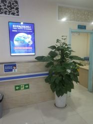 -成都军建医院·疤痕诊疗中心