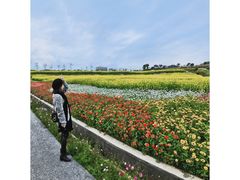 -光明小镇欢乐田园