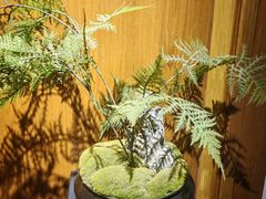 -臻品足道(后湖店)