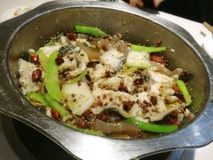 -万和源炝锅城·活鱼现炝(文艺北路店)