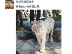 -北京野生动物园