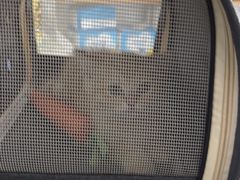 -爱诺耐芙动物医院(万博店)