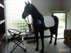 -松声马术俱乐部