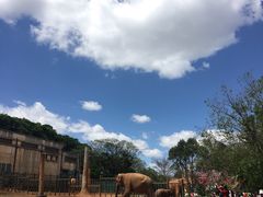 -昆明动物园