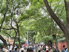 -北京国子监胡同
