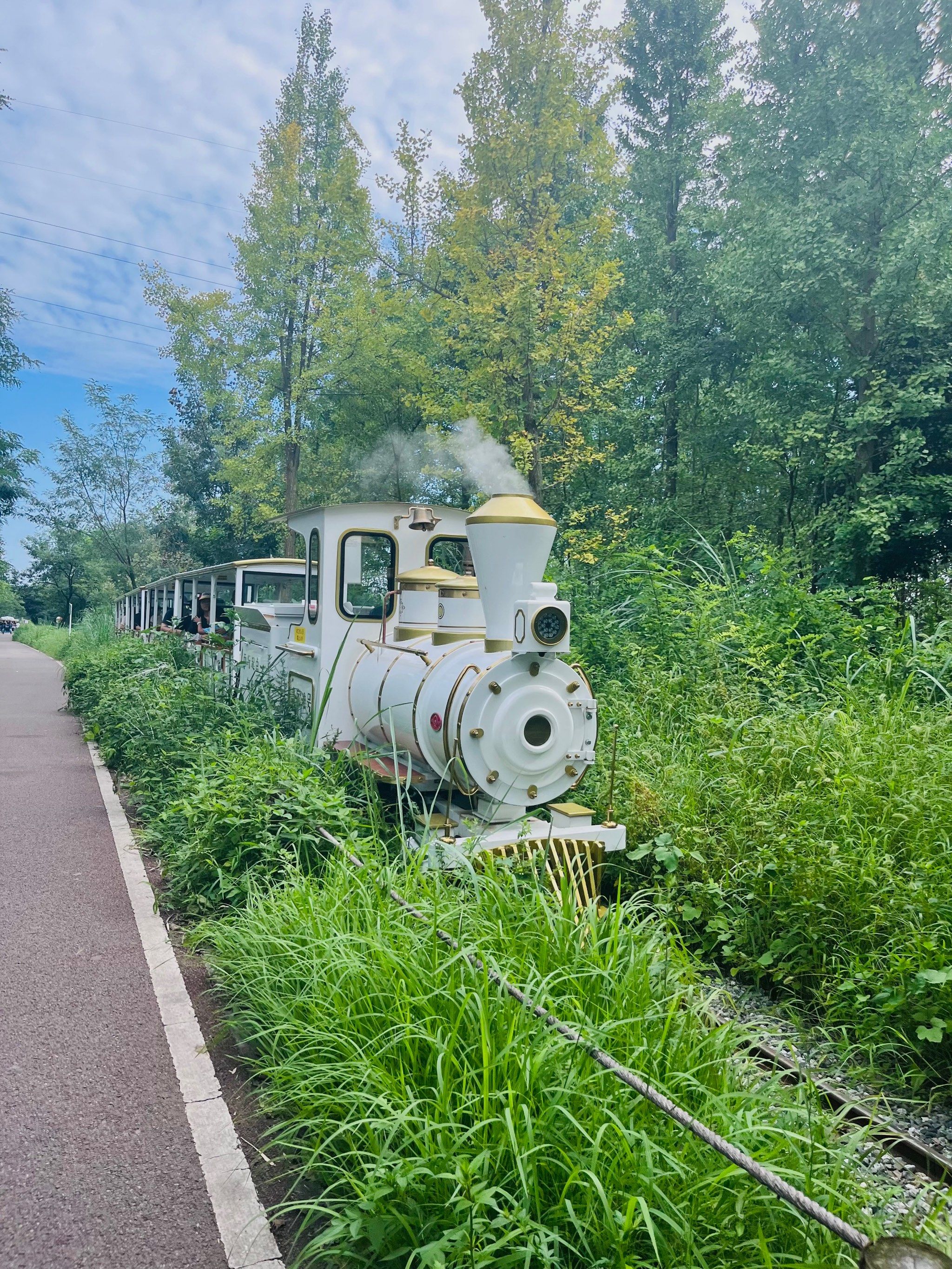 鲁家滩中间主路是一个金马河的堤坝,很长,小火车就沿着河岸开,还是要