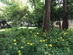 -杭州西湖风景名胜区-章太炎纪念馆