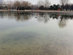 -太阳宫公园