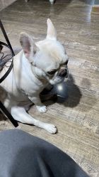 -IDEA·艾蒂尔科技美肤·日式美甲美睫集合店