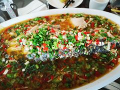 飞虹鱼-飞虹鱼馆(春华路店)