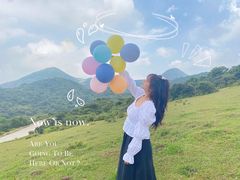 -大姆山草场