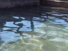 -咸宁万豪温泉谷度假区