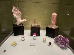 -中华赏石园