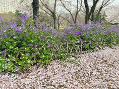-白塘生态植物园