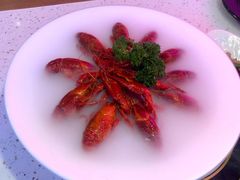 冰镇小龙虾-沪小胖·小龙虾(八佰伴店)