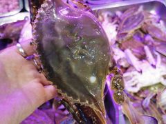 -春华海鲜城(广场西苑店)