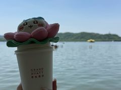 -杭州君悦酒店