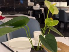 -眉州东坡(清河万象汇店)