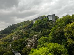 -福道