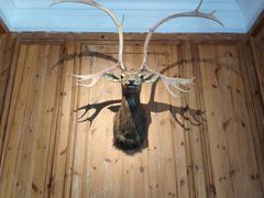 门面-新白鹿餐厅(城西银泰城店)