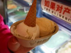 -极拉图·现制冰淇淋(大卫城店)