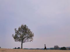 -钟山体育运动公园