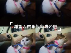 -深圳野生动物园