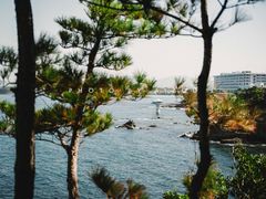 -滨千鸟之汤 海舟