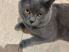 -扬州东关街文昌阁桔子水晶酒店