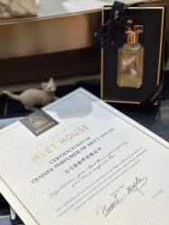 -香遇沙龙香水·调香·团建