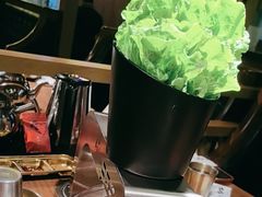 -九田家黑牛烤肉料理(新辰里亚运村店)