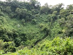 -海口火山口国家地质公园