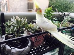 -晓V彩妆造型(大学路店)