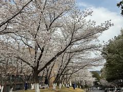 -浙江大学(玉泉校区)