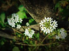 -宁波浙东大竹海景区