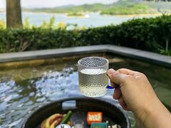 -天目湖涵田半山温泉