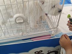 -丽达购物中心(崂山店)