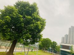 -中影国际影城(昆山花园城CINITY LED店)