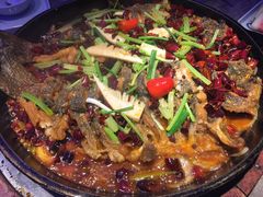 老板恋上鱼-老板恋上鱼(恒隆广场店)